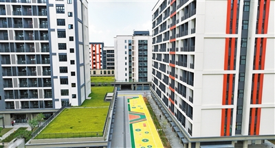 【珠海特区报】项目“硬”支持 服务“软”关怀